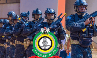 'Ignore It' - DSS Warns On Viral Recruitment Exercise