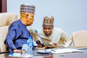 The Pain You Feel Is Necessary - Shettima's PA Tells Nigerians