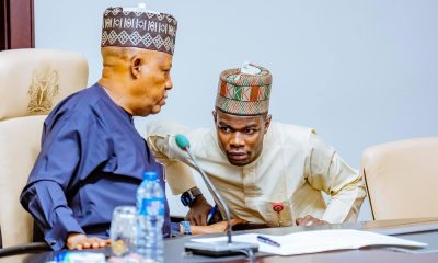 The Pain You Feel Is Necessary - Shettima's PA Tells Nigerians
