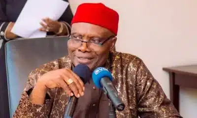 Wabara Reveals What Will Determine Tinubu's Fate In 2027