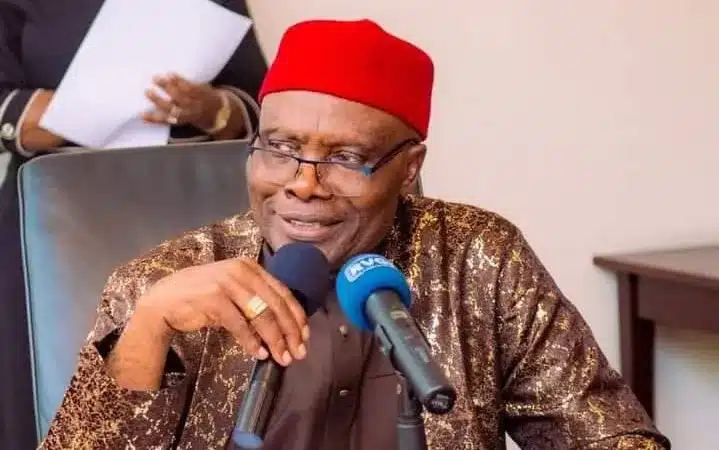 Wabara Reveals What Will Determine Tinubu's Fate In 2027