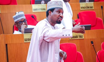 Tinubu Has Done Great In Two Years - Sen. Jibrin