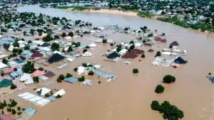 Take Relief To Victims Of Mokwa Flood - APC To NEMA