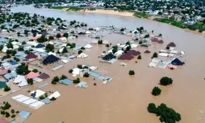 Take Relief To Victims Of Mokwa Flood - APC To NEMA