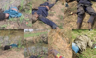 Troops Kill 21 Terrorists In Katsina