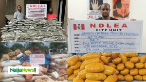 NDLEA Arrests Wanted Lagos Drug Baron ‘Chisco Bee’, Uncovers Warehouse, Seizes 18,000kg Of Drugs Nationwide