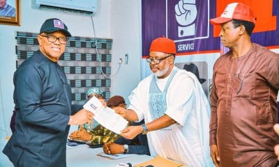 Peter Obi emerge NDC Presidential candidate