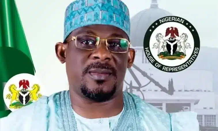 Bashir Usman, who represents Birnin-Gwari:Giwa Federal Constituency of Kaduna State