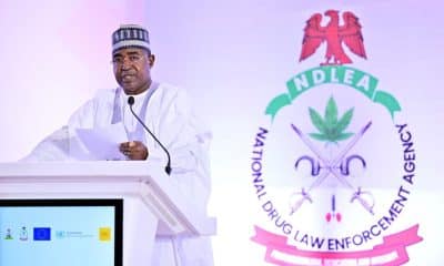 Chief Executive Officer of NDLEA, Brig Gen Mohamed Buba Marwa