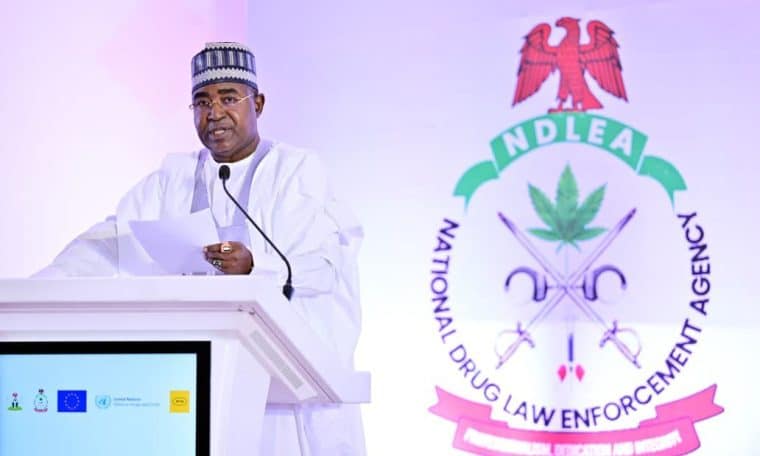 Chief Executive Officer of NDLEA, Brig Gen Mohamed Buba Marwa