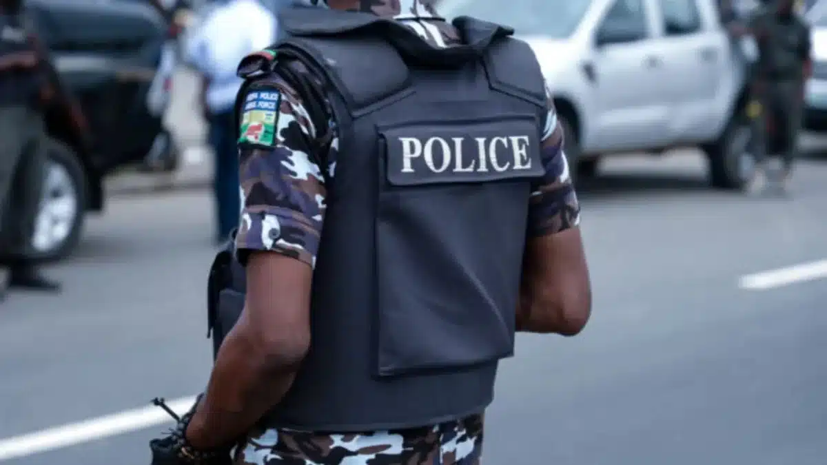 FG Begins Framework For State Police, Targets National Policing Bill