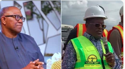 Former Governors,Peter Obi and Dave Umahi