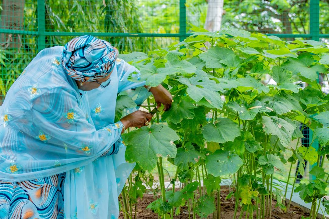 Photos: First Lady Remi Tinubu Turns Farmer, Harvests Vegetables