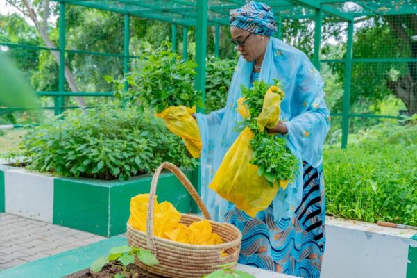 Photos: First Lady Remi Tinubu Turns Farmer, Harvests Vegetables