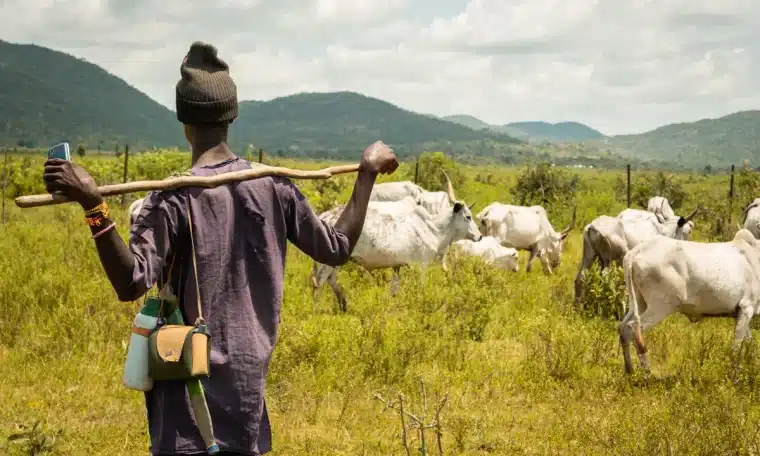 Fulani Herdsman