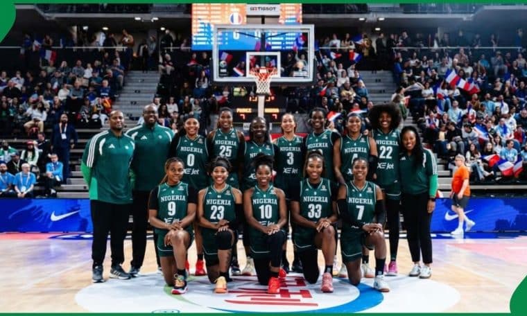 D'Tigress team