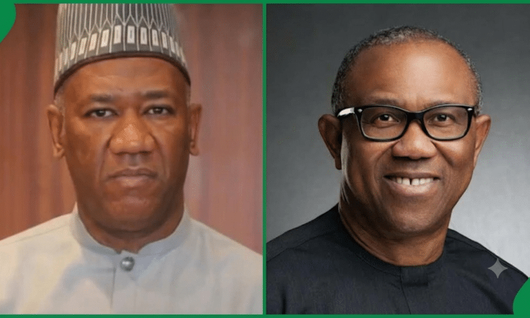 Yusuf Datti Baba-Ahmed, Peter Obi
