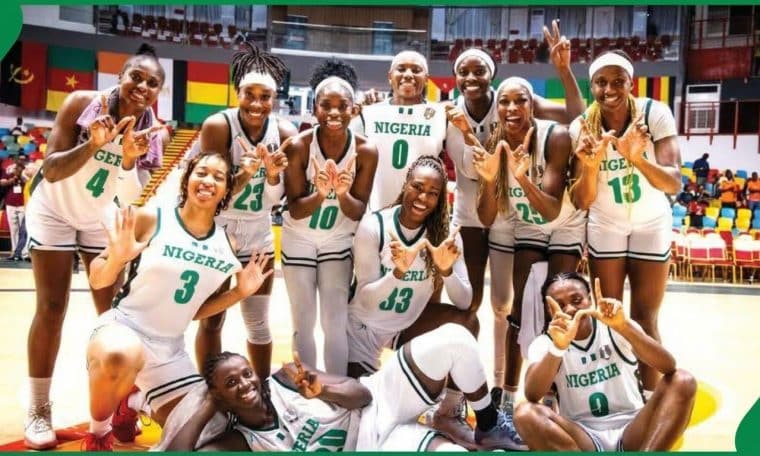 D’Tigress