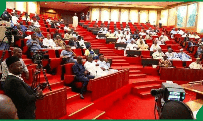 Senators sitting in the Nigeria Senate Chambers
