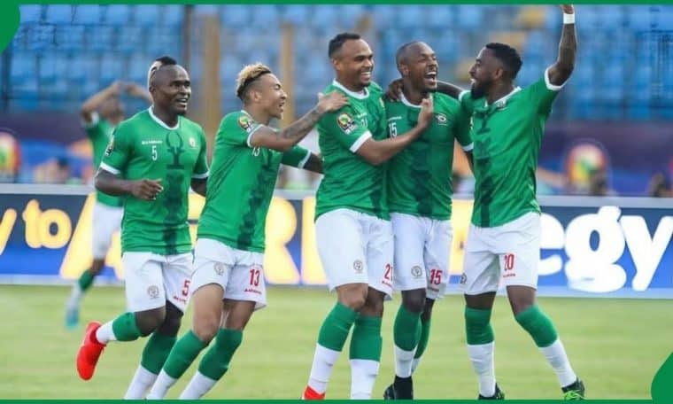 Madagascar players