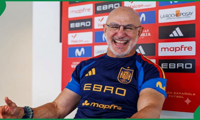 Spain head coach Luis de la Fuente