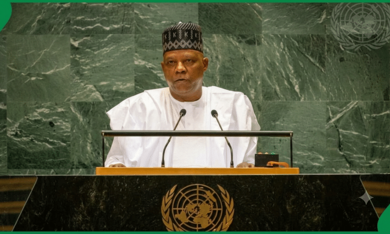 Vice President Kashim Shettima