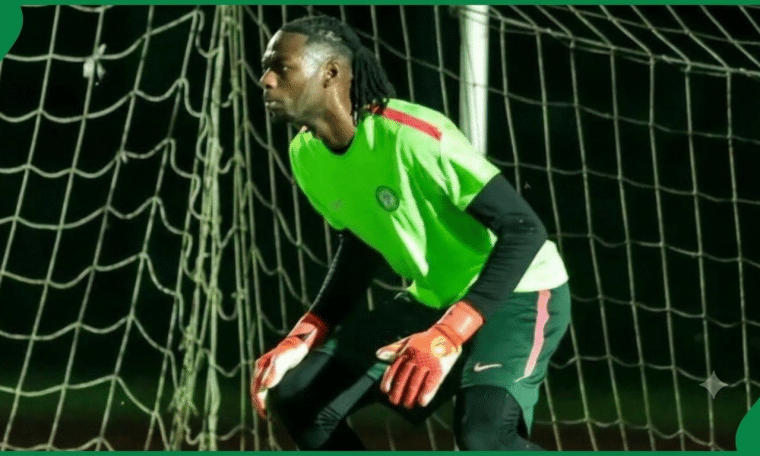 Super Eagles goalkeeper Arthur Okonkwo
