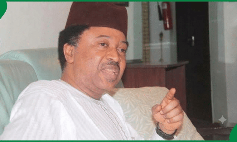 Shehu Sani