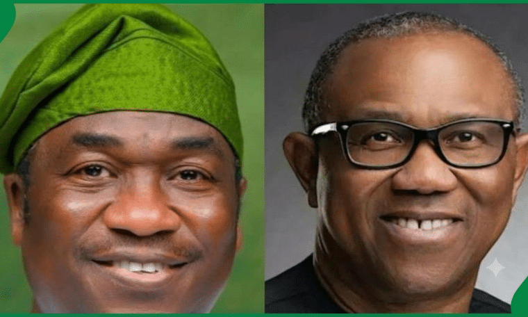 Obafemi Hamzat, Peter Obi
