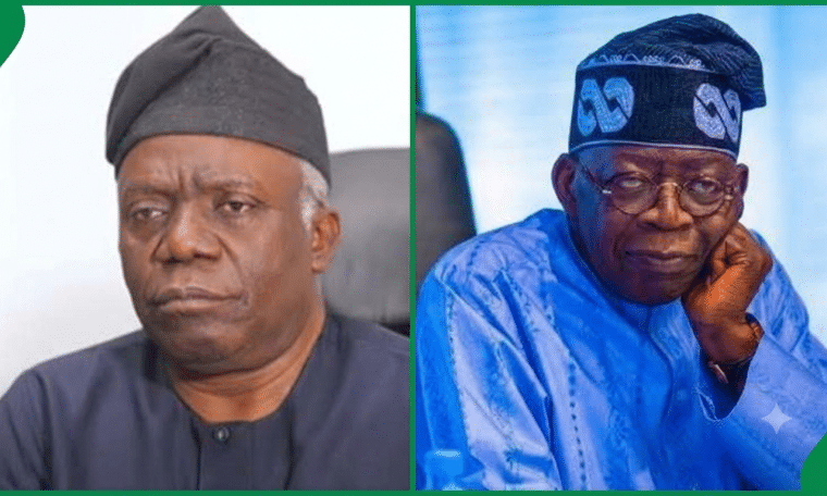 Femi Falana and President Bola Tinubu