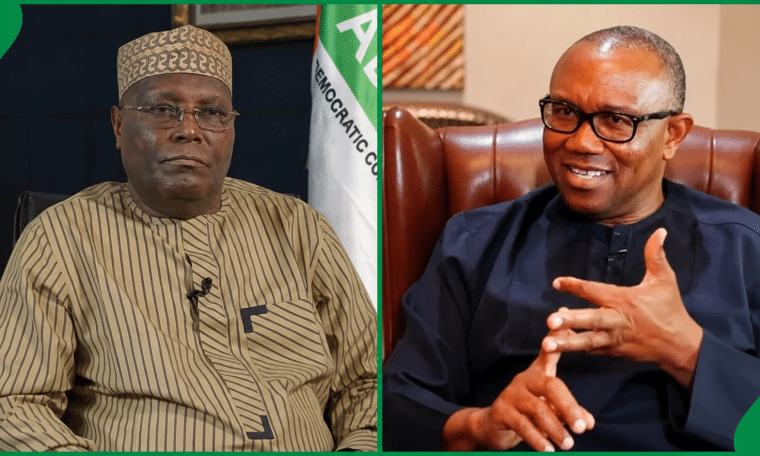 Atiku Abubakar and Peter Obi