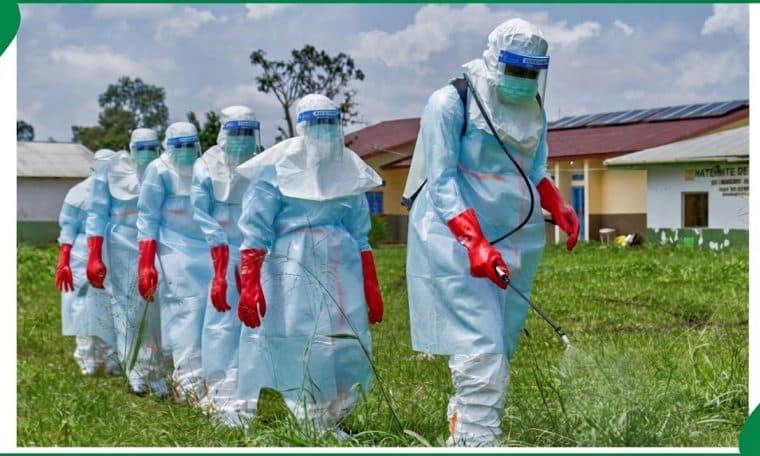 Ebola Virus fumigation