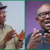 Festus Keyamo and Peter Obi
