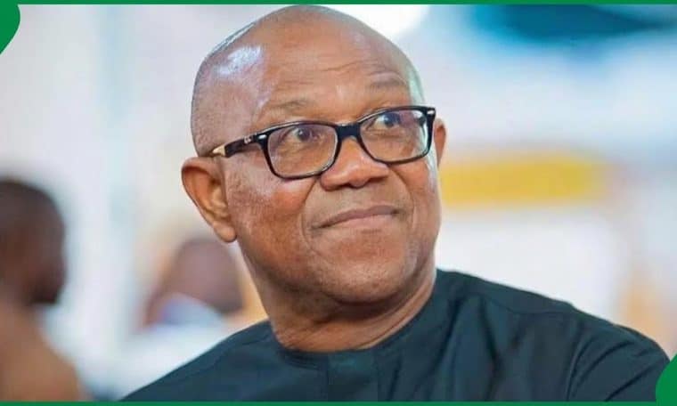 Former Governor, Peter Obi
