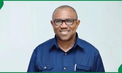 Former Governor, Peter Obi