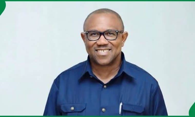 Former Governor, Peter Obi