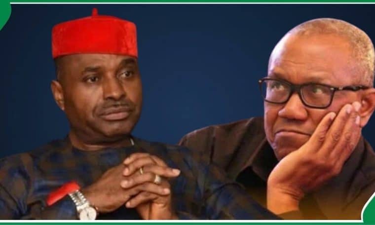 ‘I Do Not Have Any Contract To Fall Into Pit With Peter Obi’ – Kenneth Okonkwo