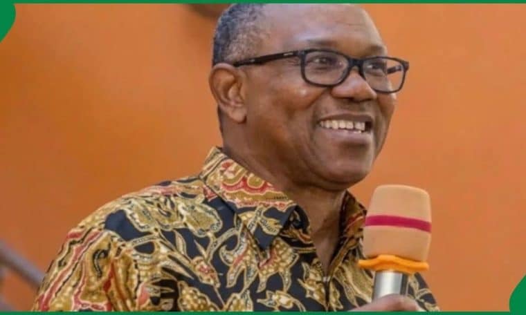 NDC Flagbearer, Peter Obi