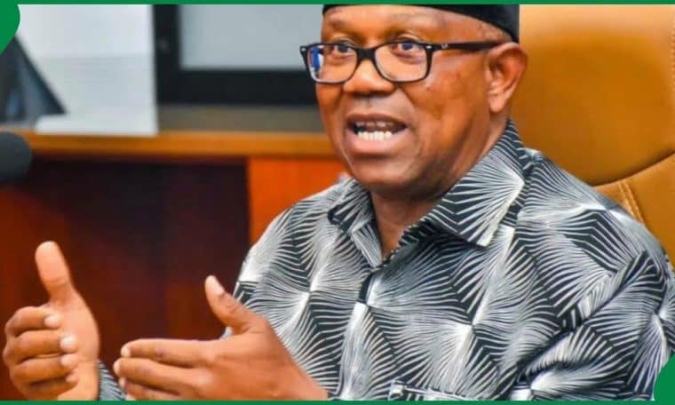 NDC Presidential Candidate, Peter Obi