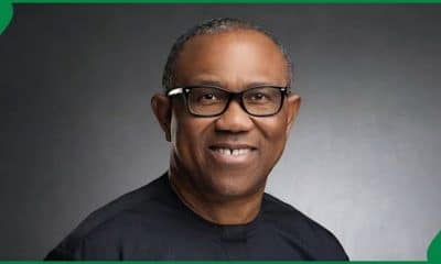NDC Presidential Candidate, Peter Obi