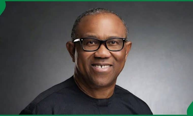 NDC Presidential Candidate, Peter Obi