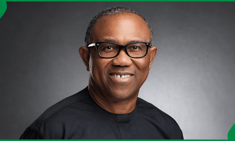 NDC Presidential candidate, Peter Obi