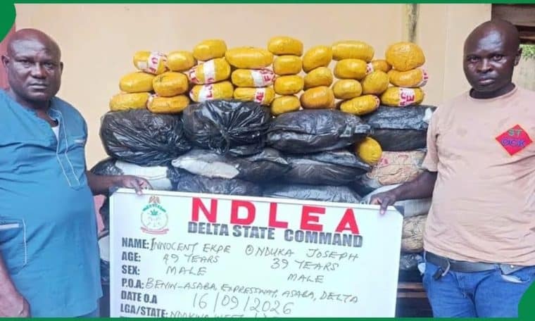 NDLEA