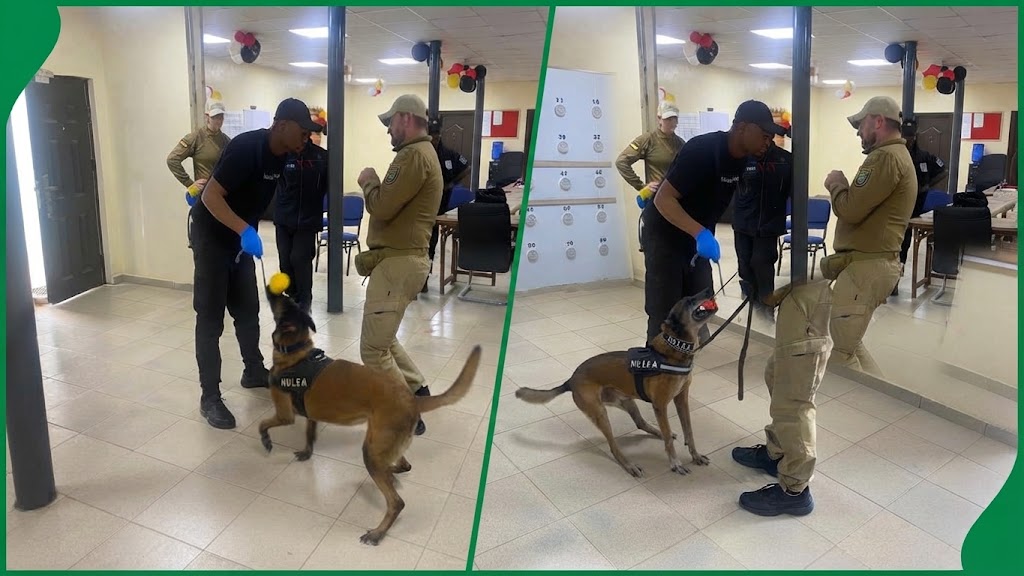 NDLEA, German Experts Conduct Real-Life Drug Detection Drills In Lagos