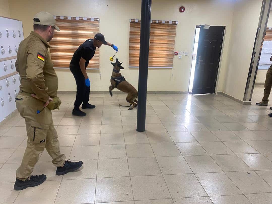NDLEA, German Experts Conduct Real-Life Drug Detection Drills In Lagos