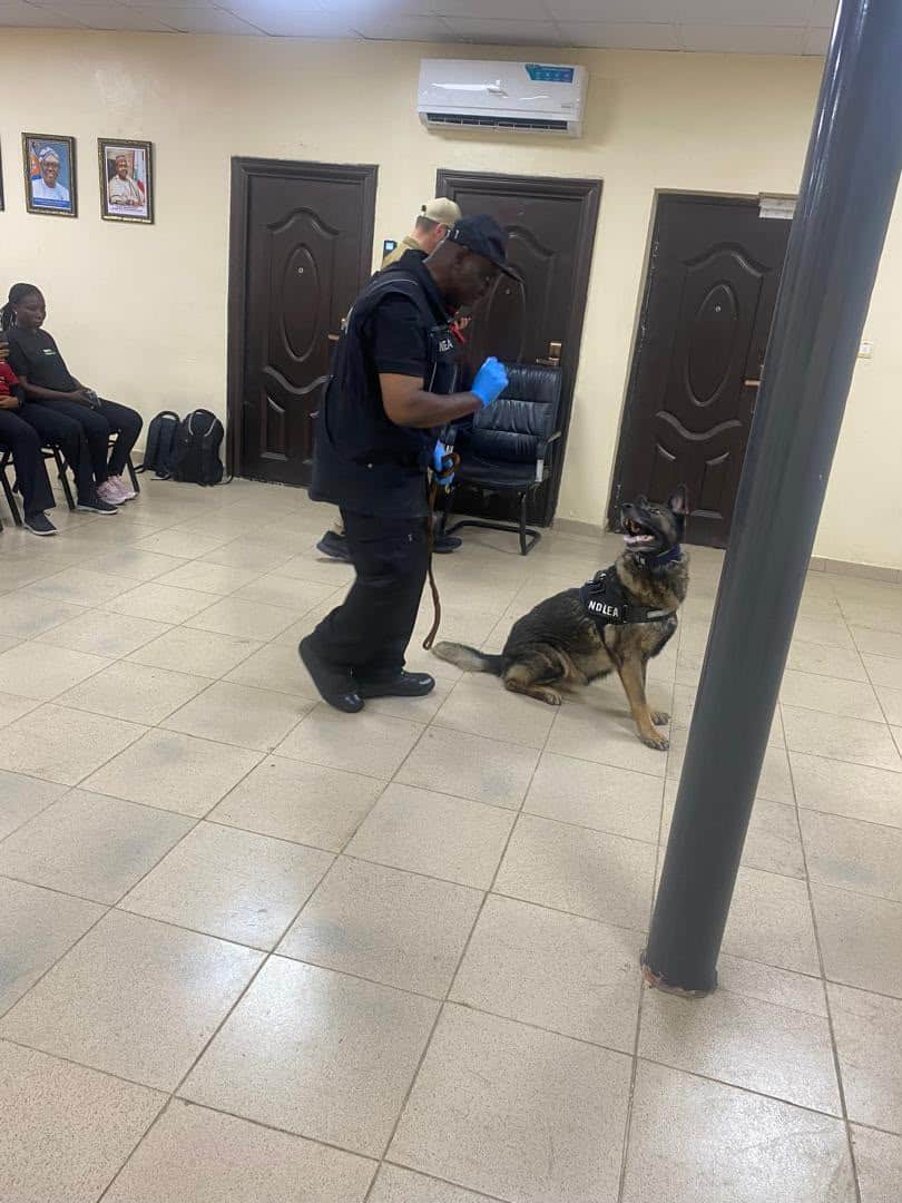 NDLEA, German Experts Conduct Real-Life Drug Detection Drills In Lagos