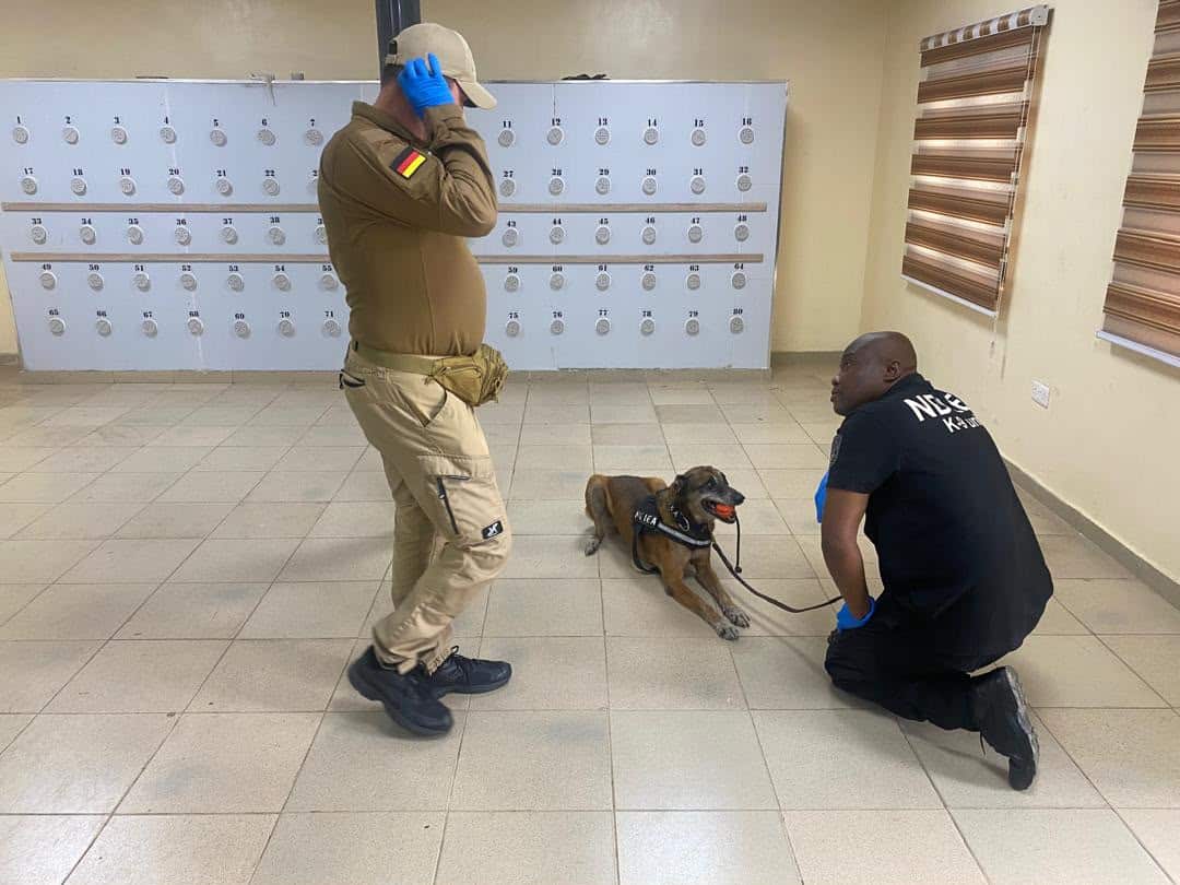 NDLEA, German Experts Conduct Real-Life Drug Detection Drills In Lagos