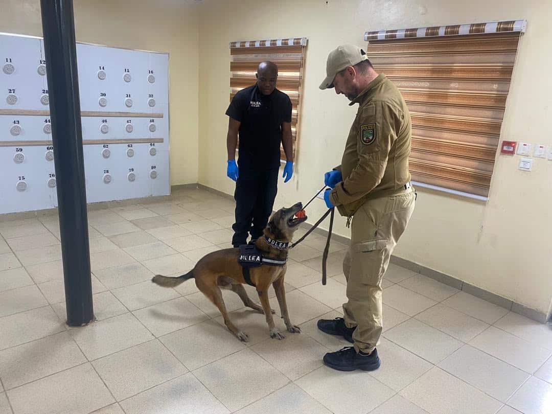 NDLEA, German Experts Conduct Real-Life Drug Detection Drills In Lagos