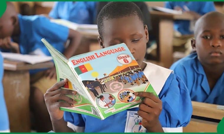 Nigerian School textbooks