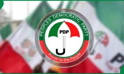 PDP Logo
